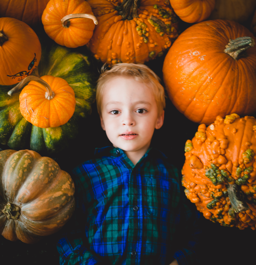 Themed mini session Colorado photographer