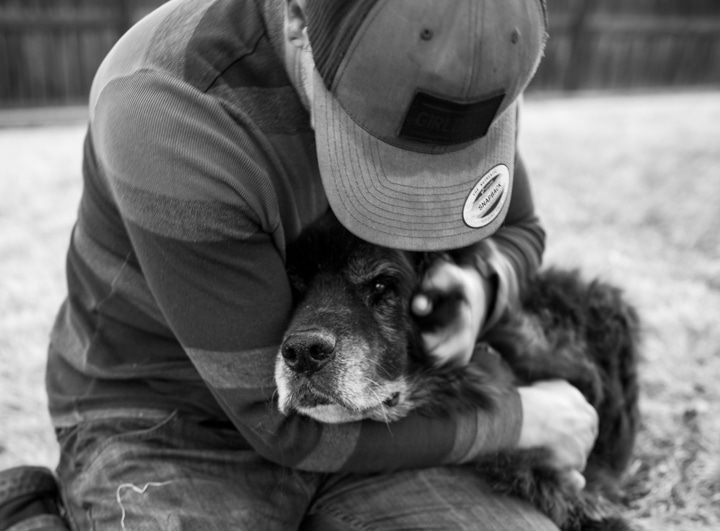 Custom pet session Colorado photographer