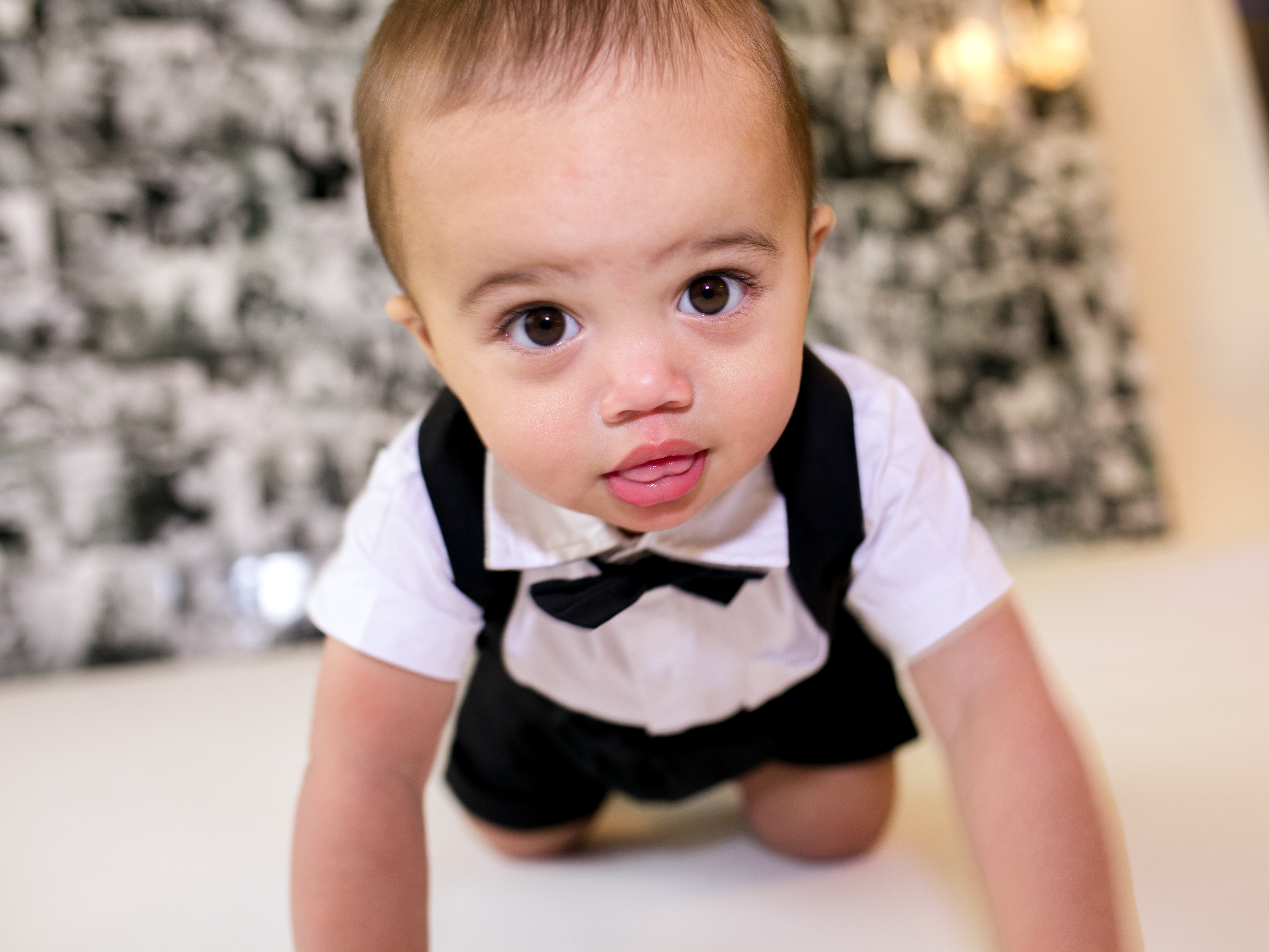 Cake smash first birthday photography session